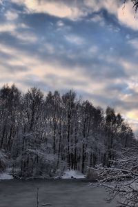 Превью обои зима, лес, озеро, снег