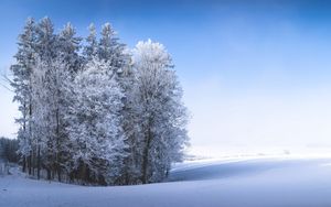 Превью обои зима, лес, поле, снег, природа