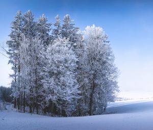 Превью обои зима, лес, поле, снег, природа