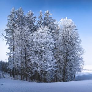 Превью обои зима, лес, поле, снег, природа