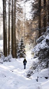 Превью обои зима, лес, прогулка, снег, деревья, уединение