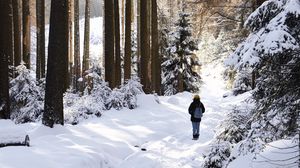Превью обои зима, лес, прогулка, снег, деревья, уединение