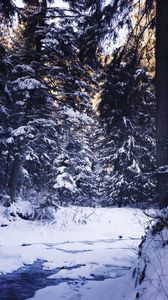 Превью обои зима, лес, снег, деревья