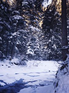 Превью обои зима, лес, снег, деревья