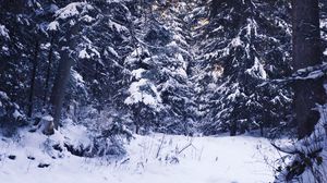 Превью обои зима, лес, снег, деревья