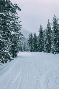 Превью обои зима, лес, снег, деревья, дорога, следы