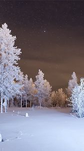 Превью обои зима, лес, снег