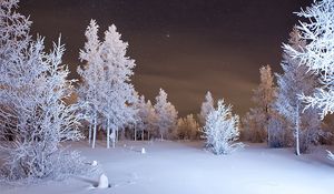 Превью обои зима, лес, снег