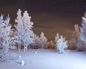 Превью обои зима, лес, снег