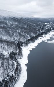 Превью обои зима, лес, вид сверху, берег, вода, серый