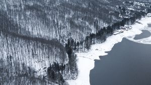 Превью обои зима, лес, вид сверху, берег, вода, серый