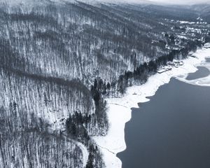 Превью обои зима, лес, вид сверху, берег, вода, серый