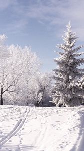 Превью обои зима, лыжня, следы, деревья, снег, горы, день