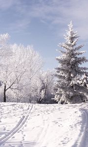 Превью обои зима, лыжня, следы, деревья, снег, горы, день