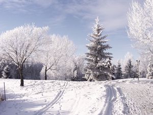 Превью обои зима, лыжня, следы, деревья, снег, горы, день