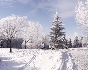 Превью обои зима, лыжня, следы, деревья, снег, горы, день