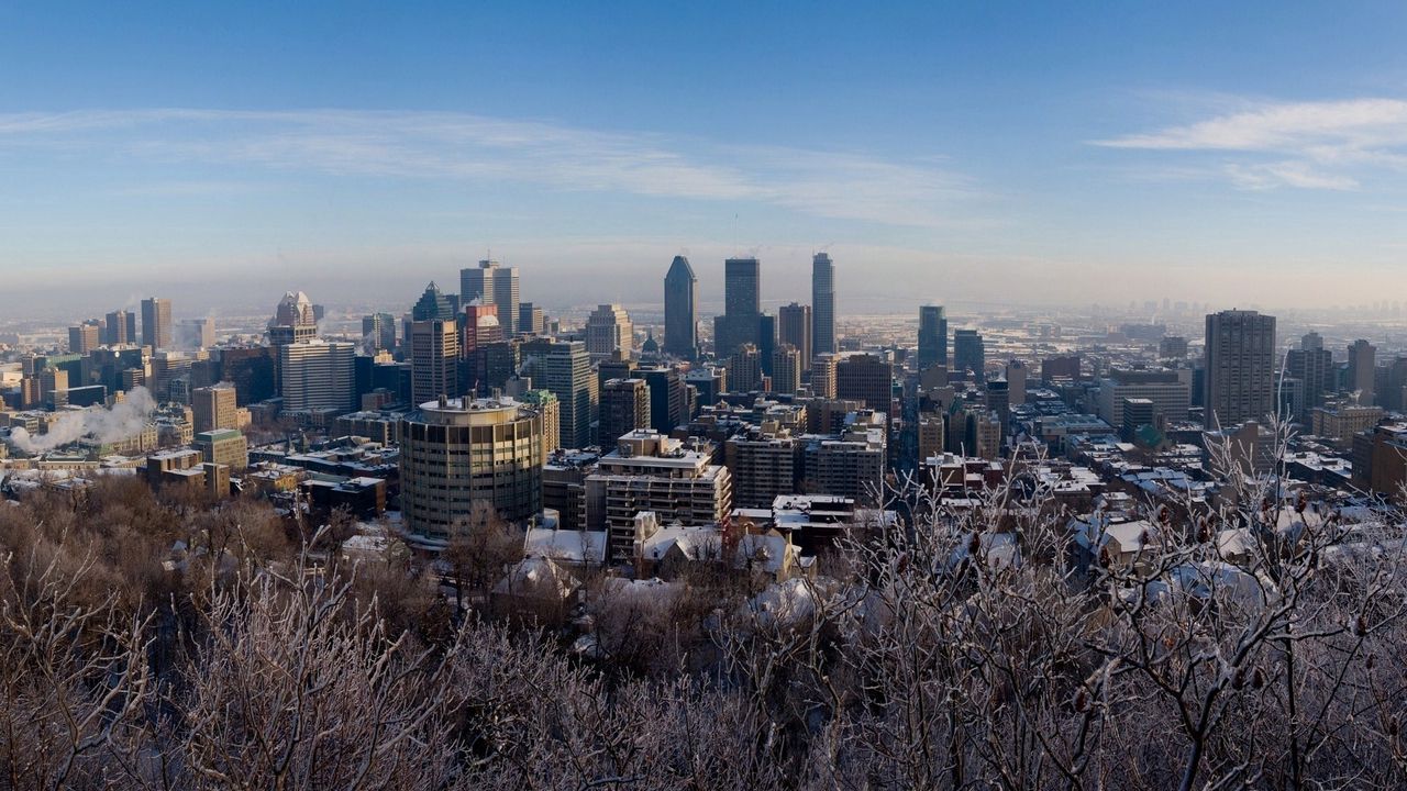 Обои зима, монреаль, канада, montreal, canada, снег, деревья