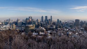 Превью обои зима, монреаль, канада, montreal, canada, снег, деревья