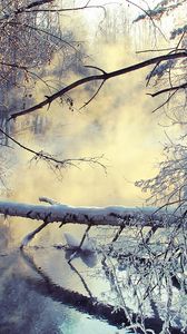 Превью обои зима, озеро, дерево, снег, пар, утро