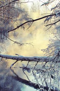 Превью обои зима, озеро, дерево, снег, пар, утро