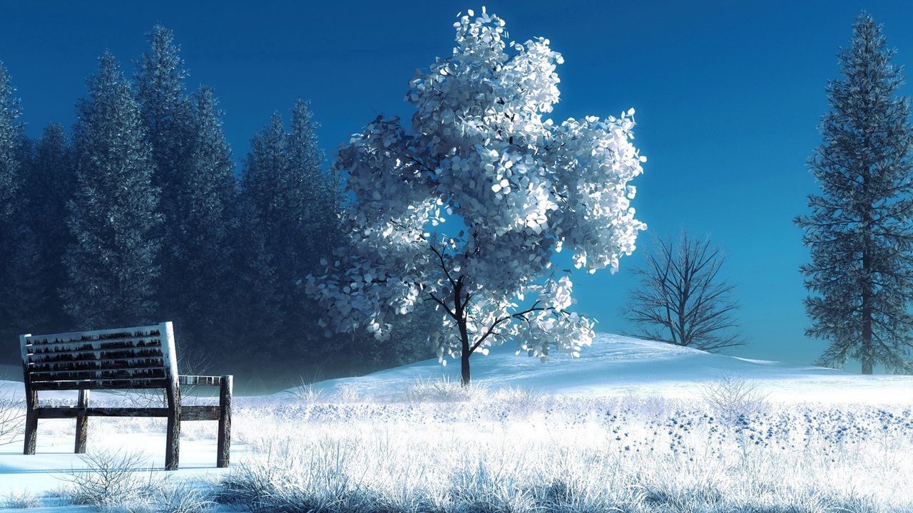 Обои зима, пейзаж, природа, снег, скамейка, деревья