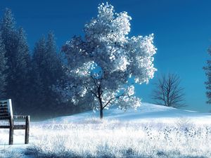 Превью обои зима, пейзаж, природа, снег, скамейка, деревья