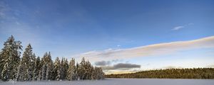 Превью обои зима, поле, ели, снег, облака, природа