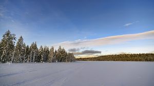 Превью обои зима, поле, ели, снег, облака, природа