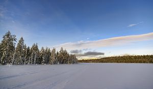 Превью обои зима, поле, ели, снег, облака, природа