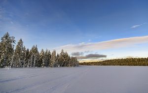 Превью обои зима, поле, ели, снег, облака, природа