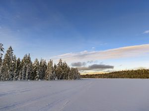 Превью обои зима, поле, ели, снег, облака, природа