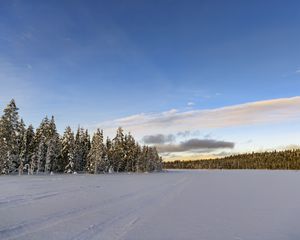 Превью обои зима, поле, ели, снег, облака, природа