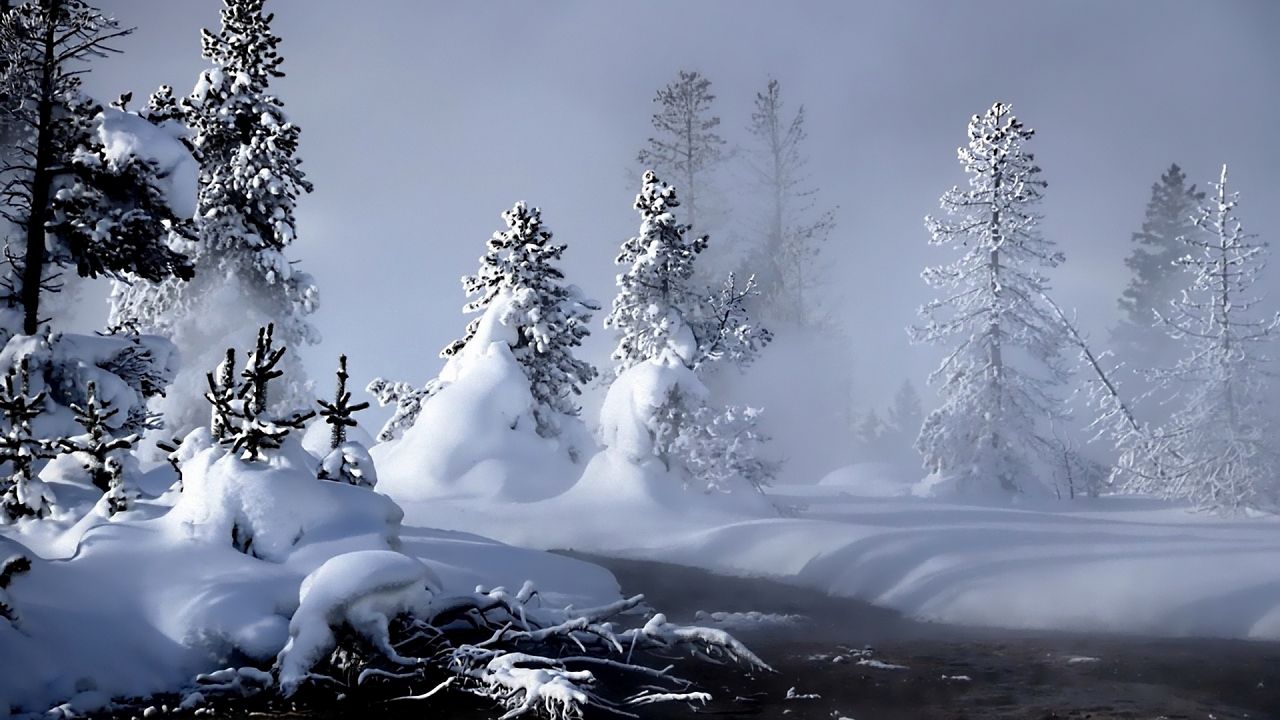 Обои зима, река, испарение, лес, снег