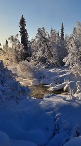 Превью обои зима, река, пар, деревья, снег