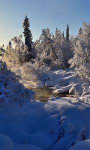 Превью обои зима, река, пар, деревья, снег