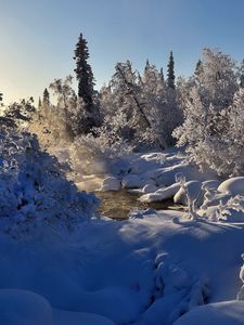 Превью обои зима, река, пар, деревья, снег