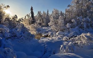 Превью обои зима, река, пар, деревья, снег