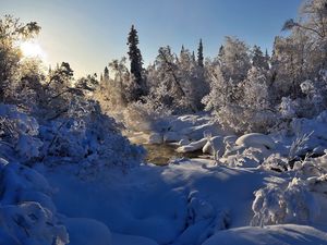 Превью обои зима, река, пар, деревья, снег