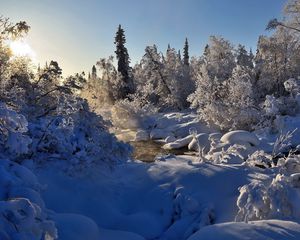 Превью обои зима, река, пар, деревья, снег