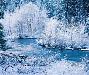 Превью обои зима, река, снег, деревья, пейзаж