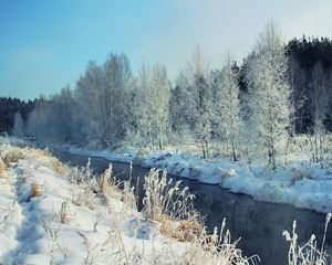 Превью обои зима, река, снег, берега, иней, пейзаж