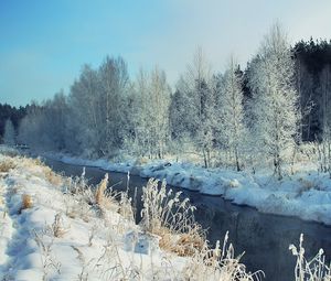 Превью обои зима, река, снег, берега, иней, пейзаж