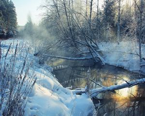 Превью обои зима, река, снег, берега, иней, пейзаж, утро, дерево