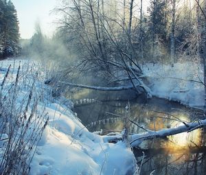 Превью обои зима, река, снег, берега, иней, пейзаж, утро, дерево