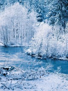 Превью обои зима, река, снег, деревья, пейзаж