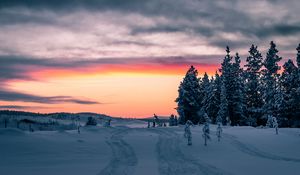 Превью обои зима, снег, деревья, закат, горизонт