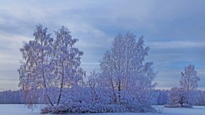 Превью обои зима, снег, деревья, иней