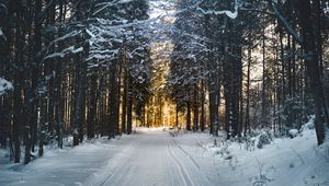 Превью обои зима, снег, дорога, деревья