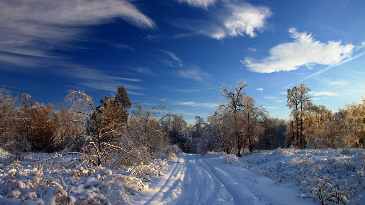 Обои зима, снег, дорога, следы, кусты, деревья, сугробы, облака, небо, ясное