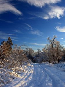 Превью обои зима, снег, дорога, следы, кусты, деревья, сугробы, облака, небо, ясное